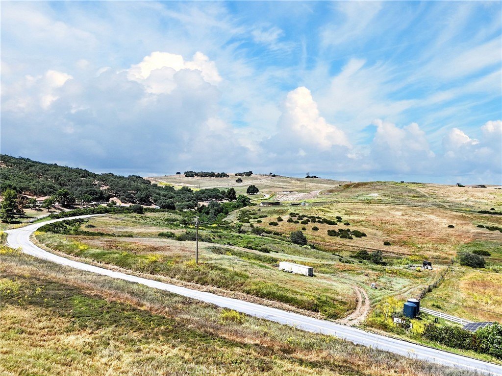 Picture 17