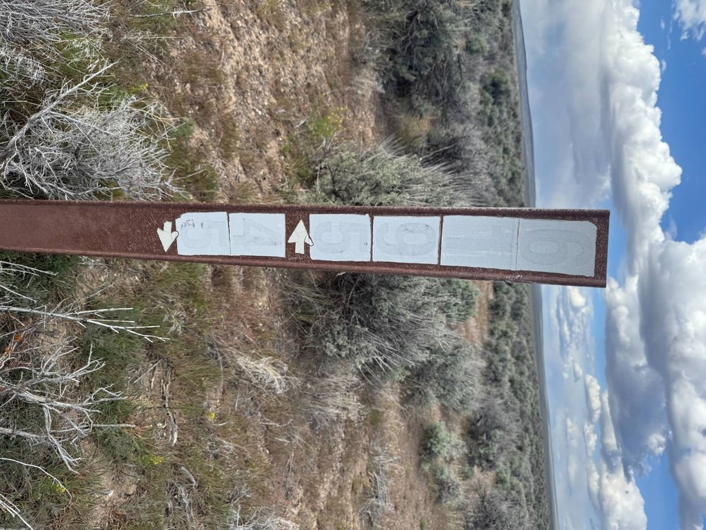 Picture 19