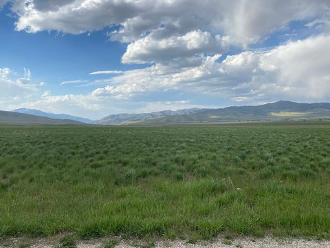 LAND - Indianola, UT