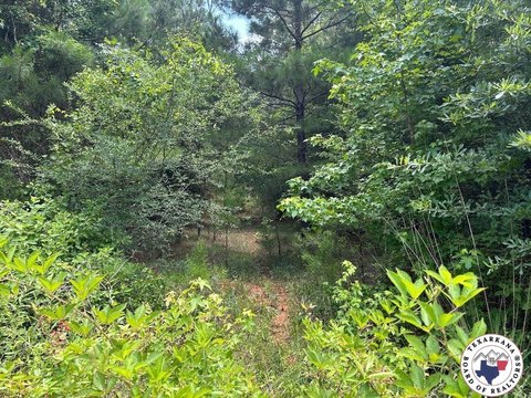 50 Acres in Bivins, TX