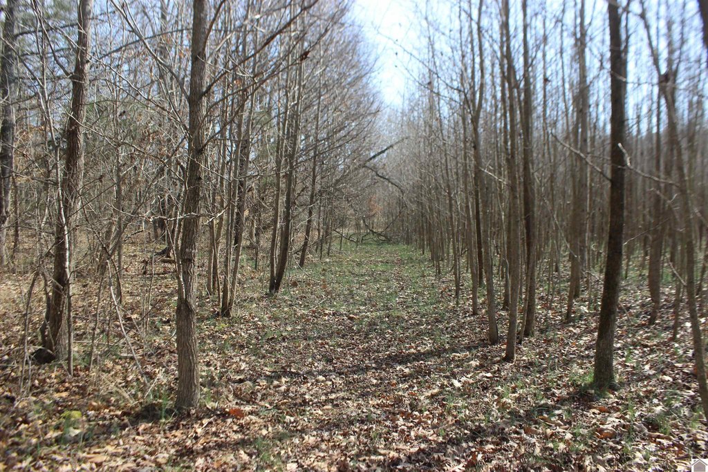 Picture 9