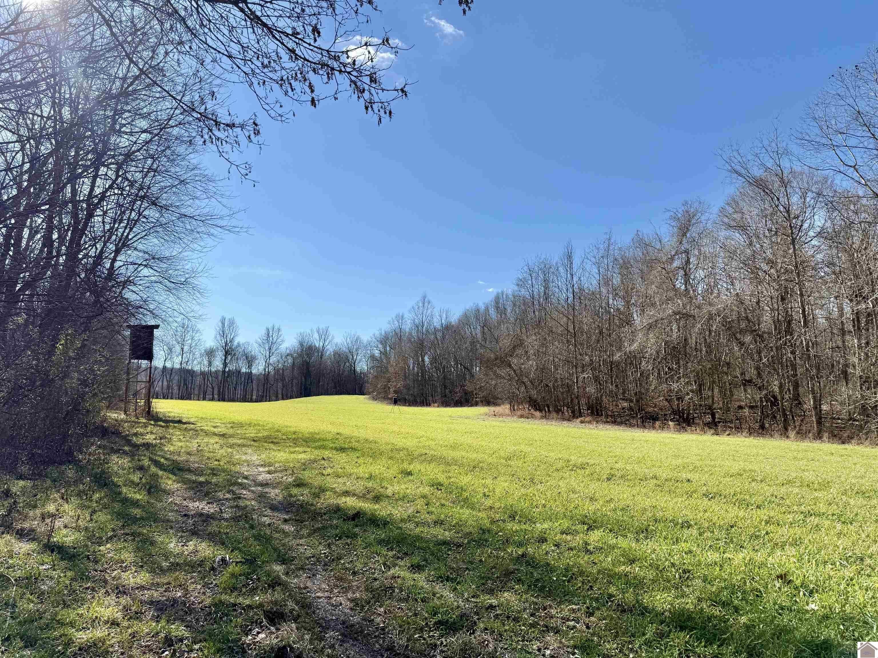 Smithland, KY Recreational Land