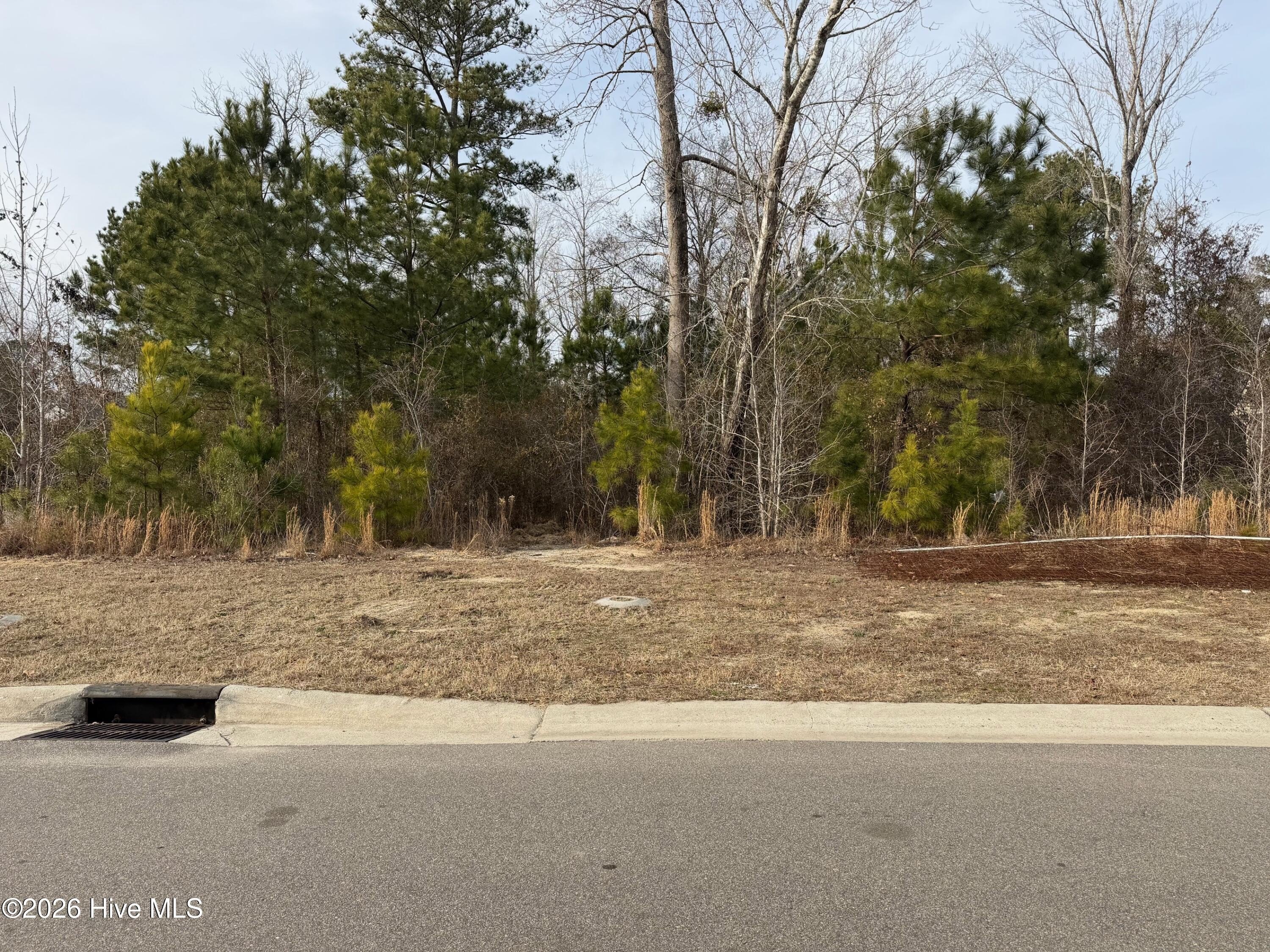Residential Lot in Coastal Community