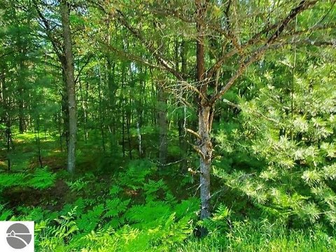 Wooded Lot with Lake Access