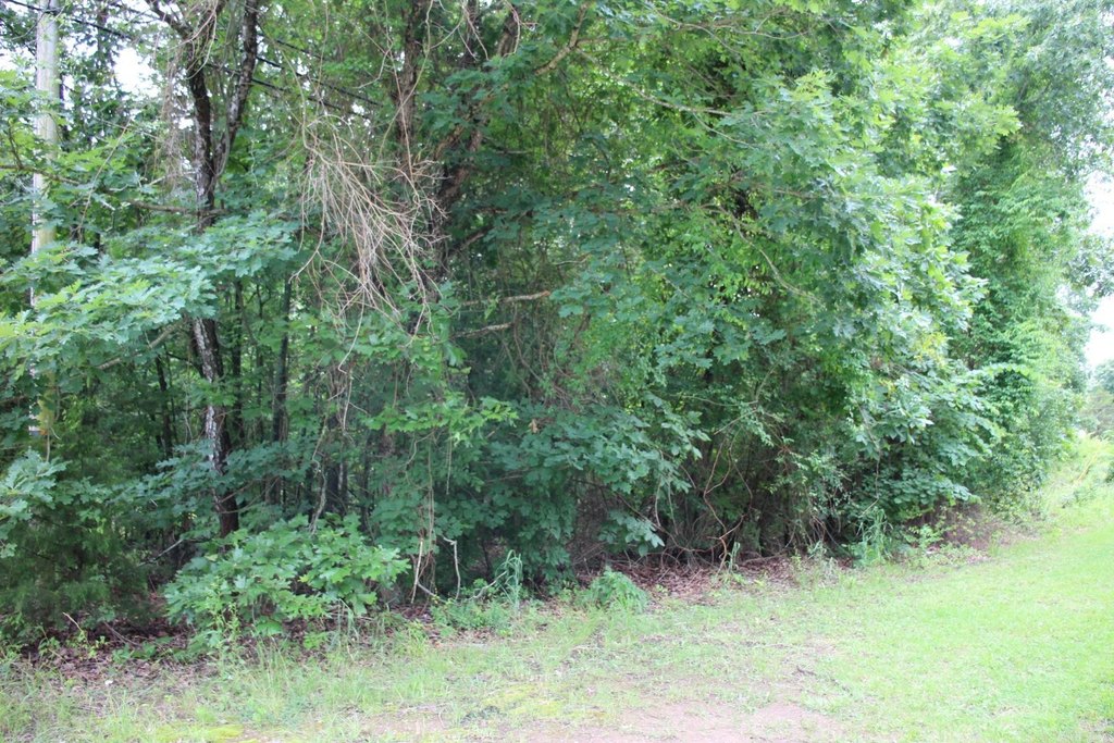 Picture 17