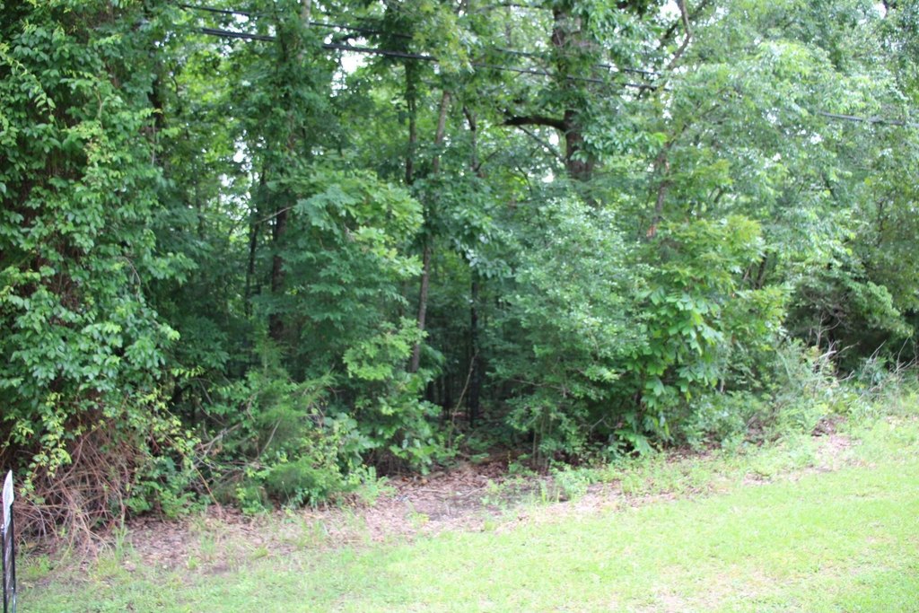 Picture 19