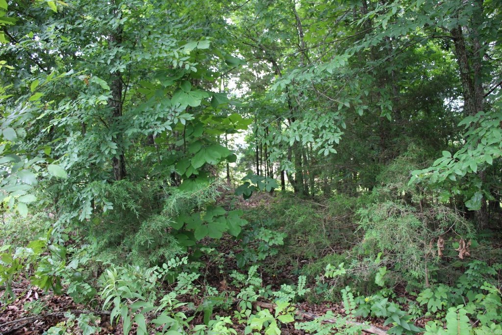 Picture 14
