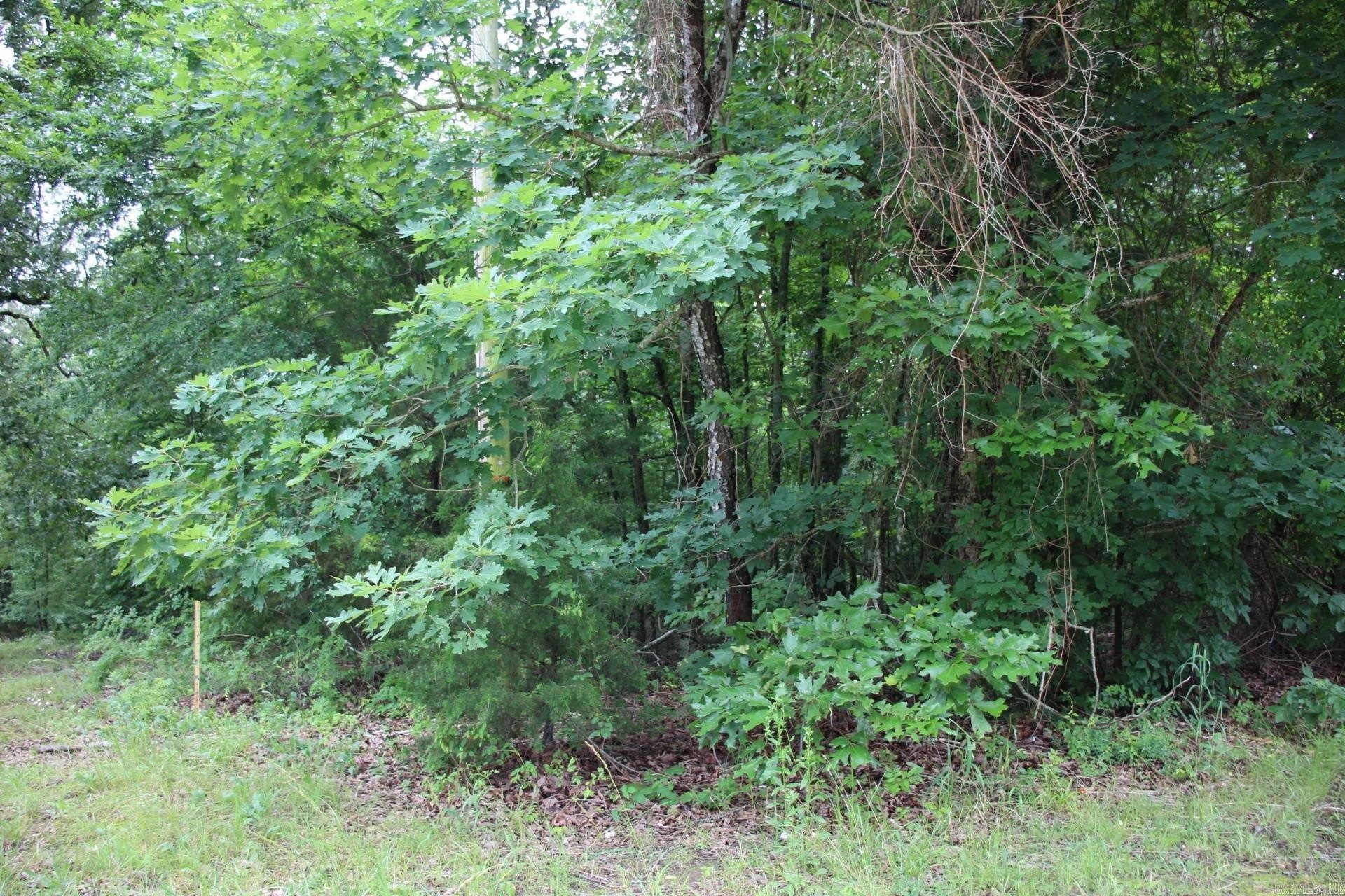 Land Near Bull Shoals Lake