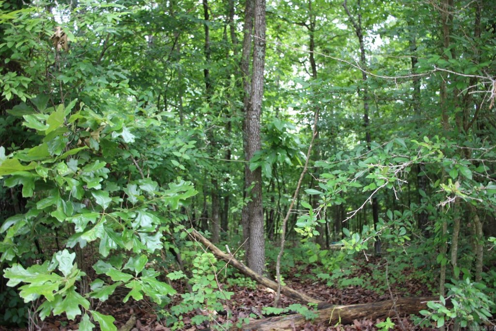 Picture 15