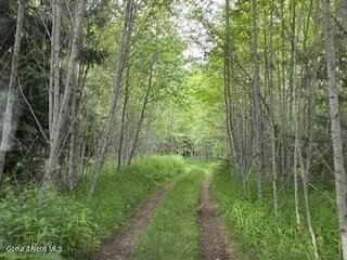 Picture 28