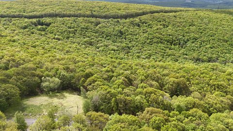 Albrightsville Land with Wooded Views