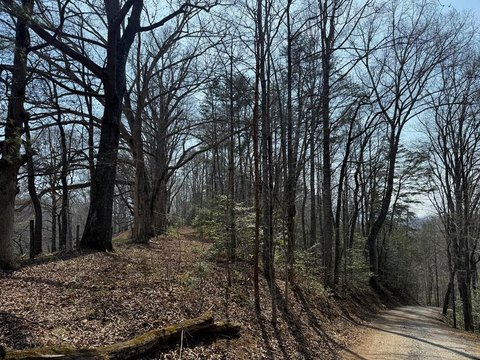 Whittier, NC Wooded Acreage