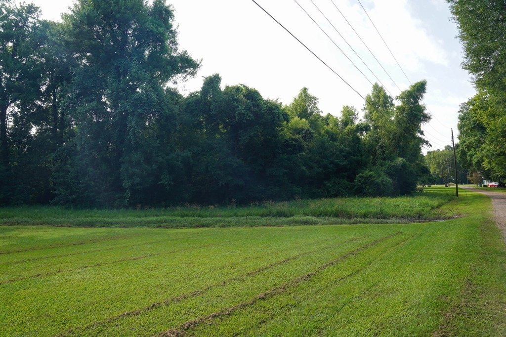 Picture 10