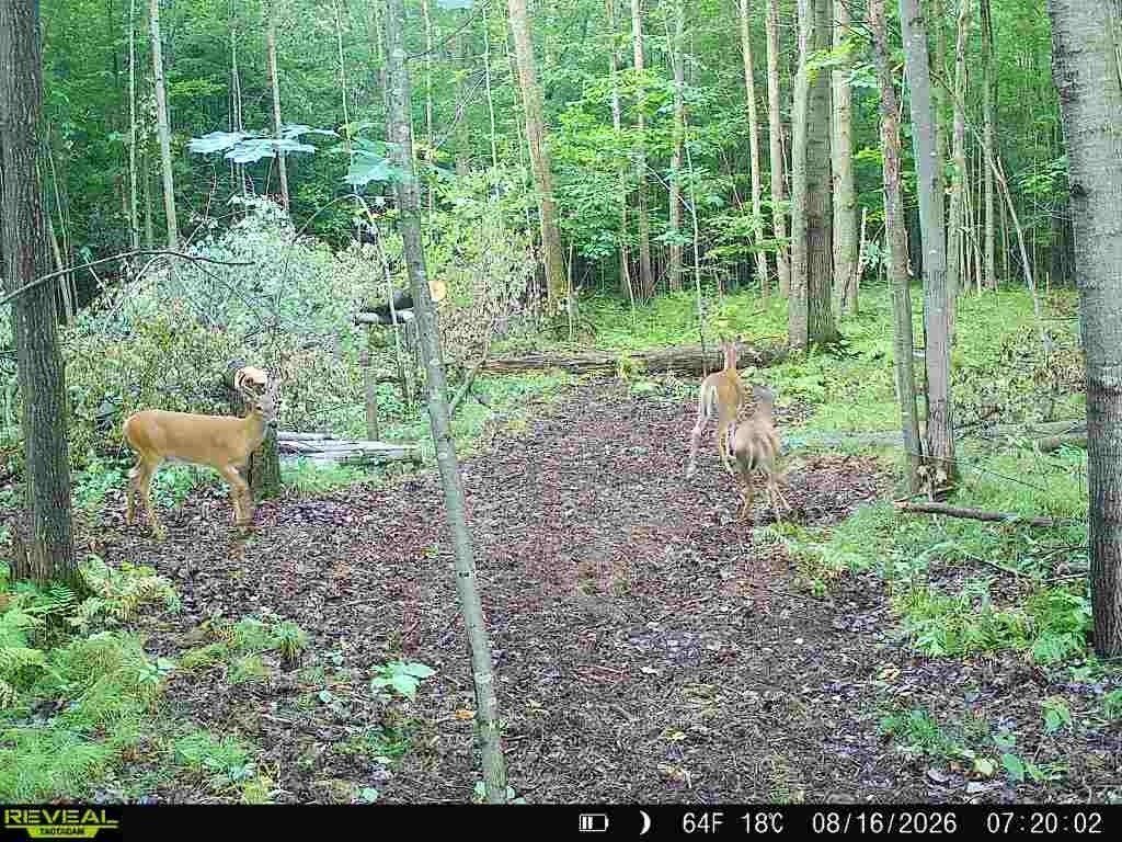 Picture 20