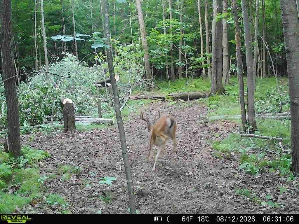 Picture 29