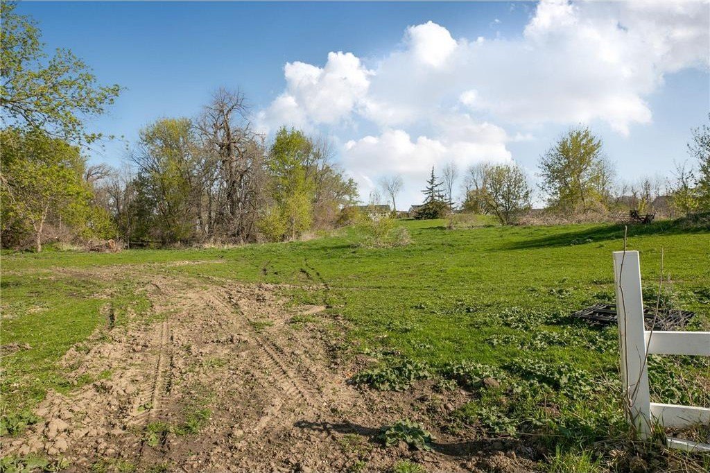 Picture 7