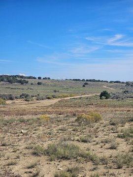Recreational Residential Lot