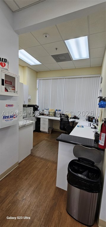 Picture 5