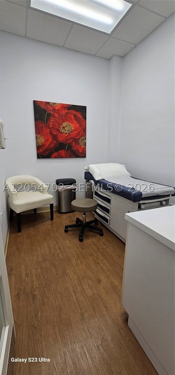Picture 7