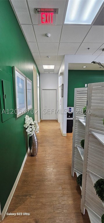 Picture 6