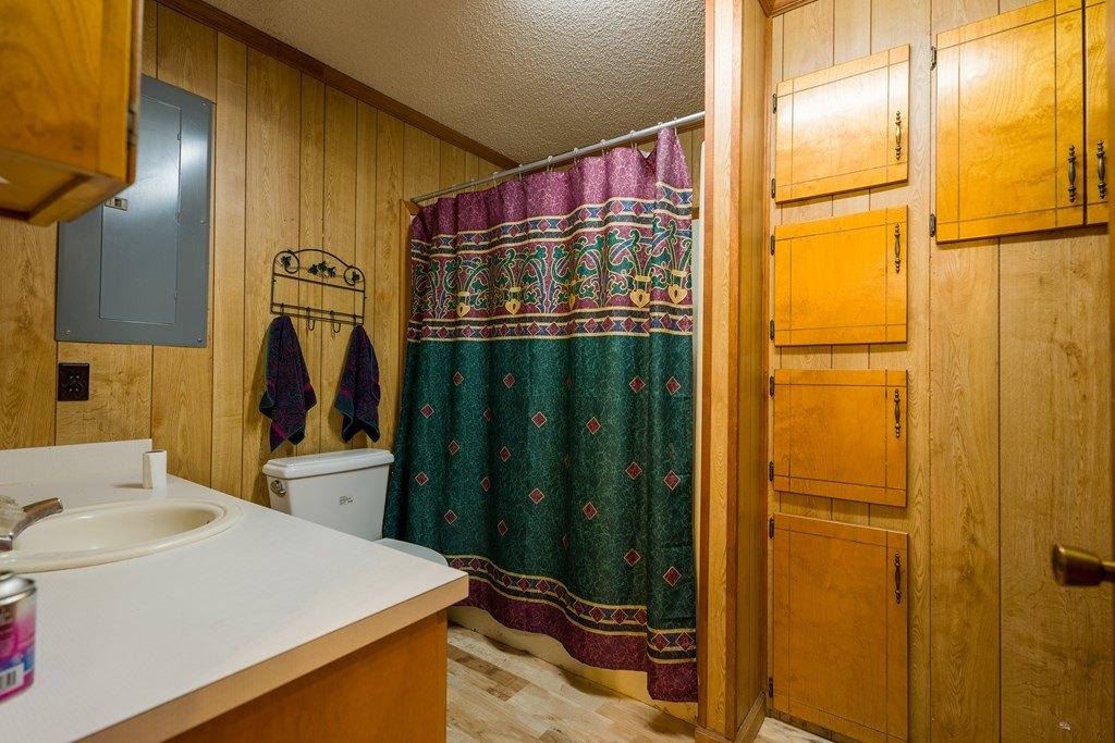 Picture 15