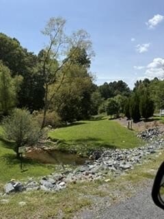 Picture 11
