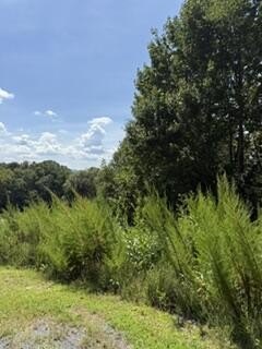Vacant Lot, Morganton, GA