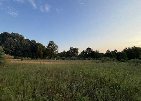 Land, Shelby, MI