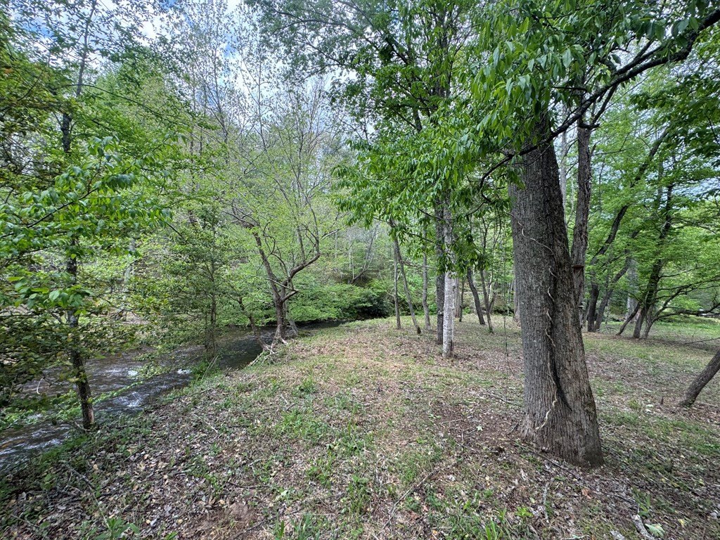 Picture 14