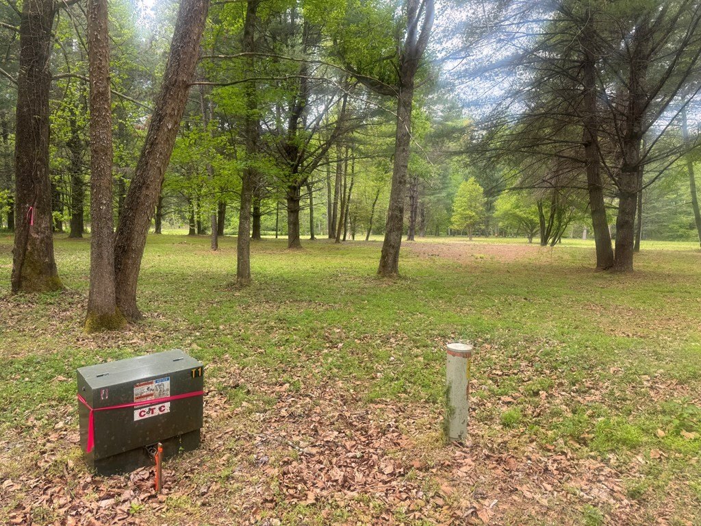 Picture 3
