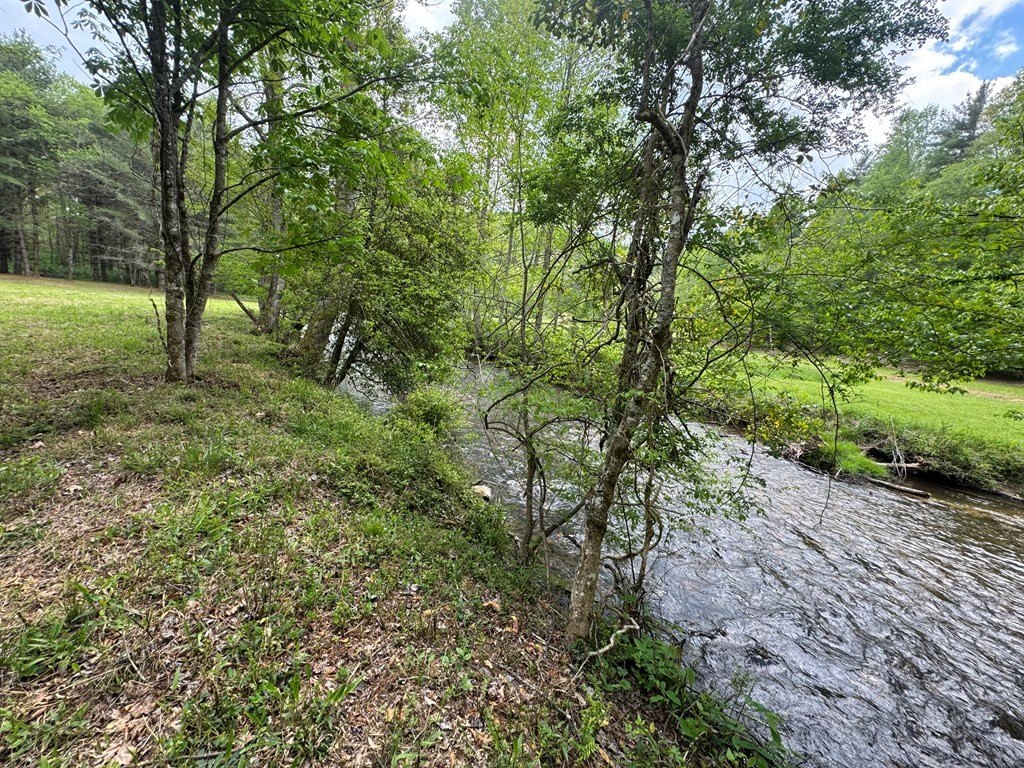 Picture 16