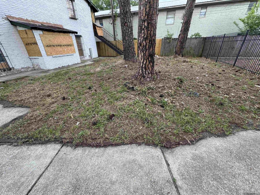 Picture 15