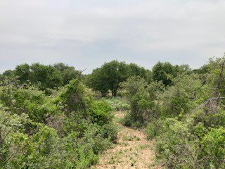 Picture 29