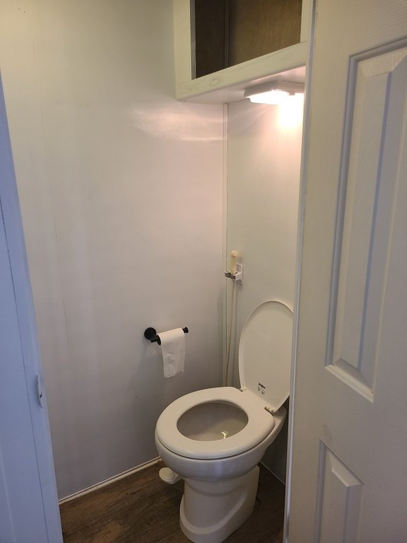 Picture 16