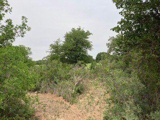 Picture 28