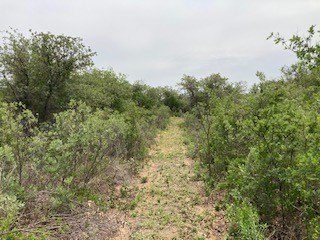 Picture 27