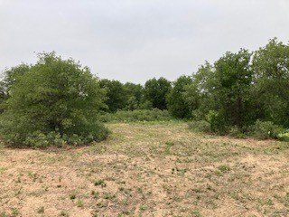 Picture 25