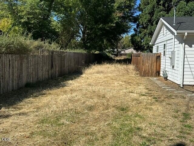 Picture 3