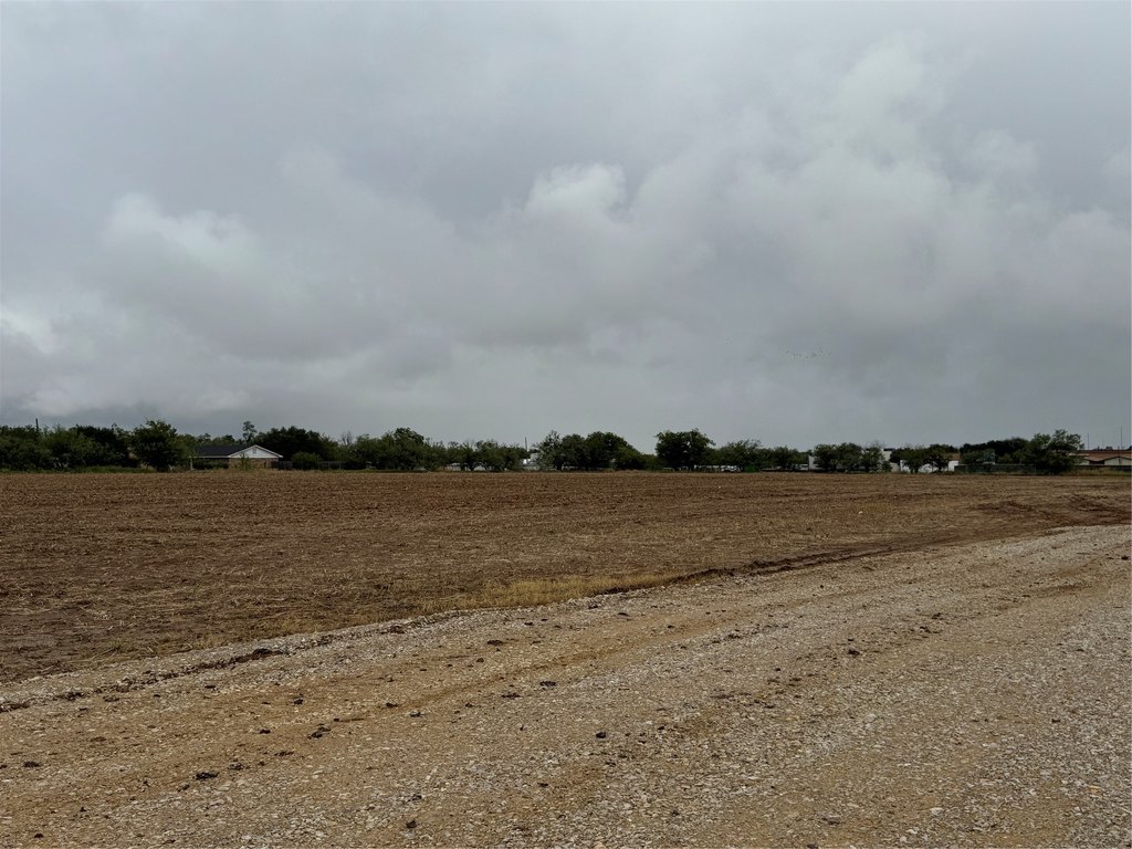 Picture 19