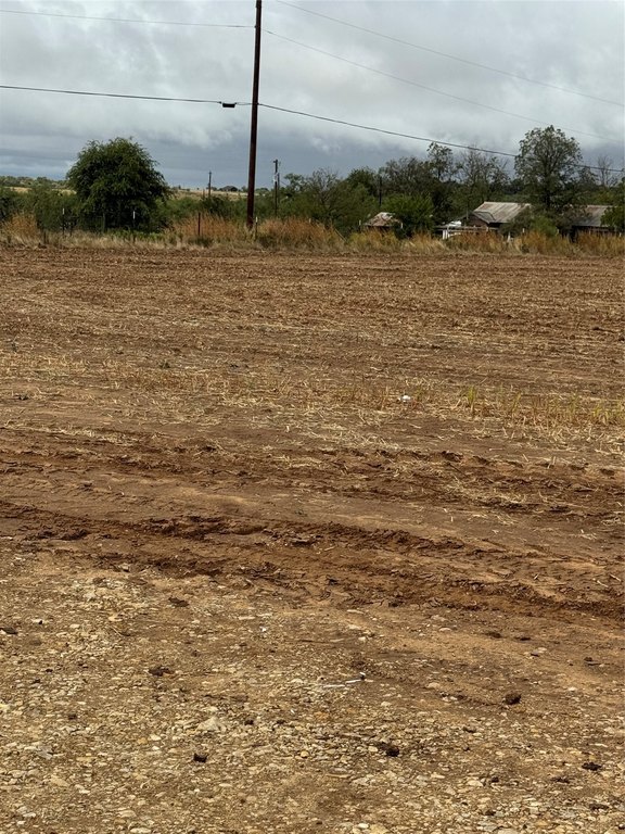 Picture 5