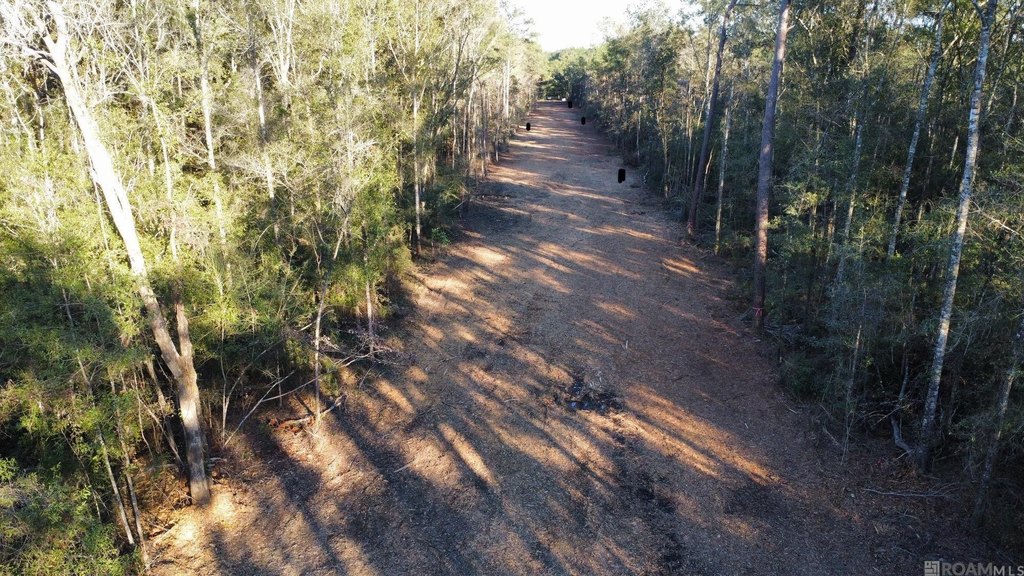 Picture 8