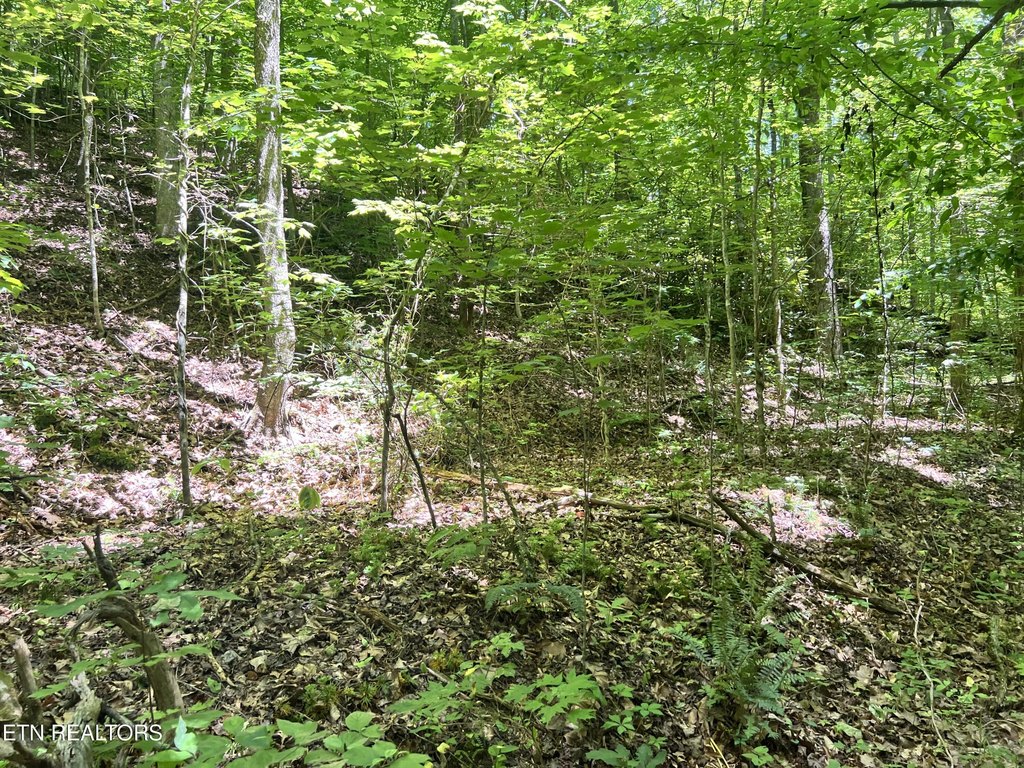 Picture 13