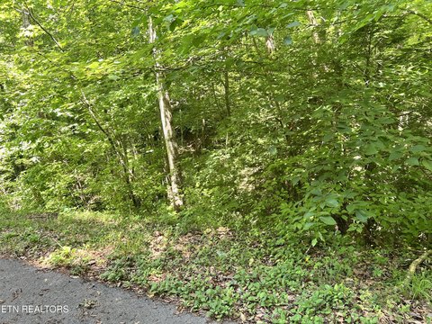 LAND - Sevierville, TN