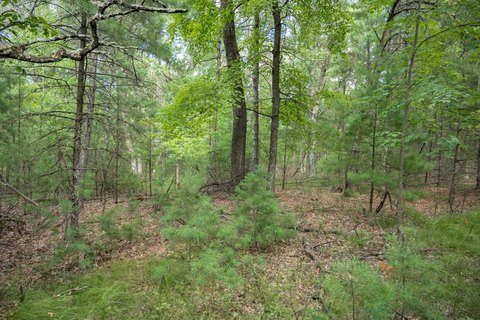 Lots & Acreage, Arkdale, WI