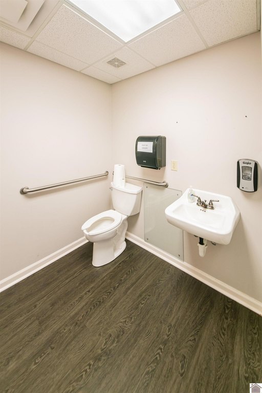 Picture 11