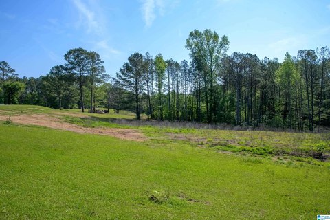 A1-Zoned Land Parcel