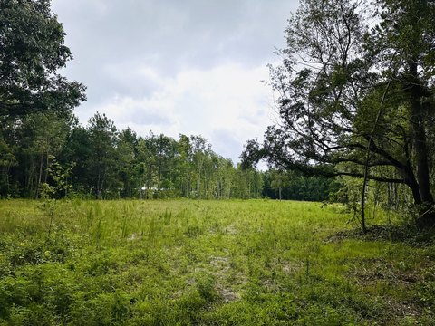 Cleared Homesite in Seabrook Landing