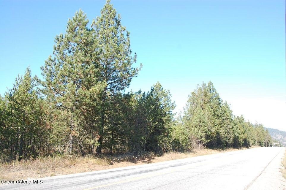 Picture 15