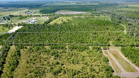 LAND - Wewahitchka, FL