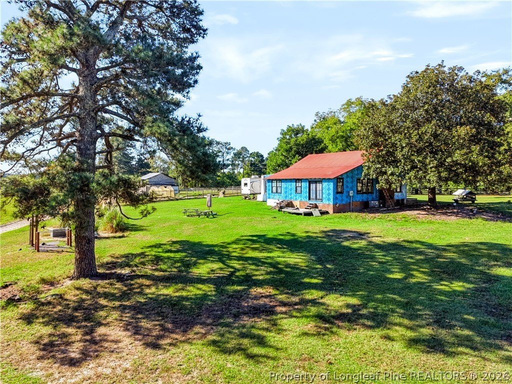 Picture 21
